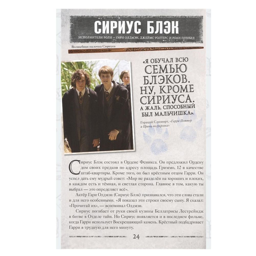 Книга "Гарри Поттер. Битва за Хогвартс (с волшебной палочкой)" - 4