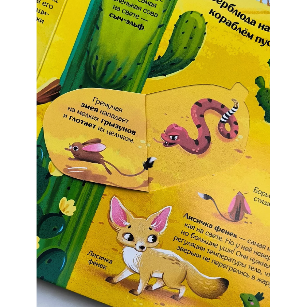 Книга "Книжка с окошками. Мир животных"