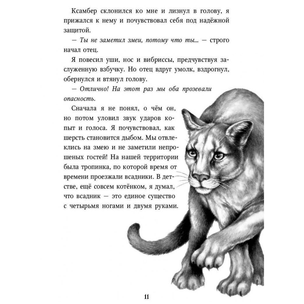 Книга "Месть пумы (#4)", Катя Брандис - 3