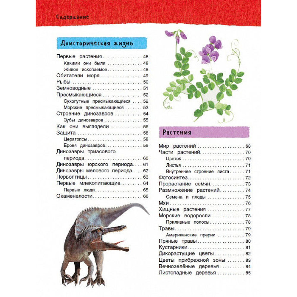 Книга "Большая иллюстрированная энциклопедия", Бромаж Фрэн