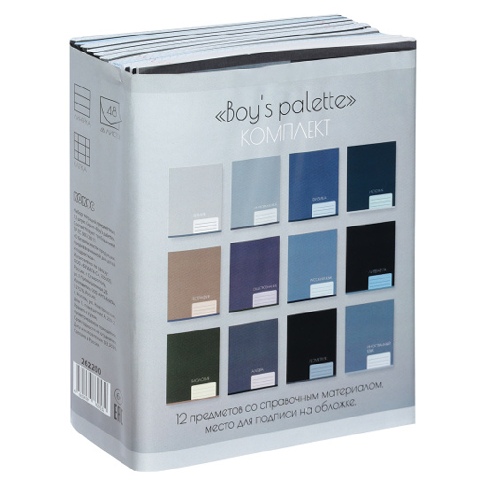 Набор тетрадей предметных "Boy's palette", А5 ,48 листов, клетка, линейка, ассорти, 12 школьных предметов