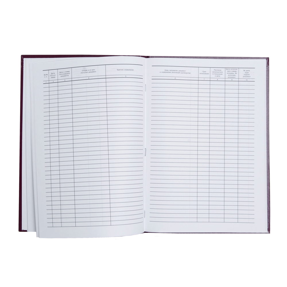 Книга канцелярская для входящей корреспонденции, A4, 100 листов, темно-зелёный