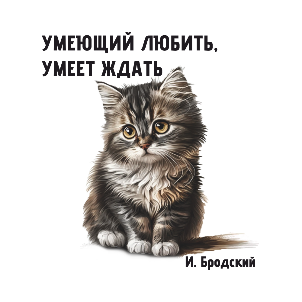 Футболка оверсайз унисекс "Умеющий любить, умеет ждать. Бродский", M-L, белый - 6