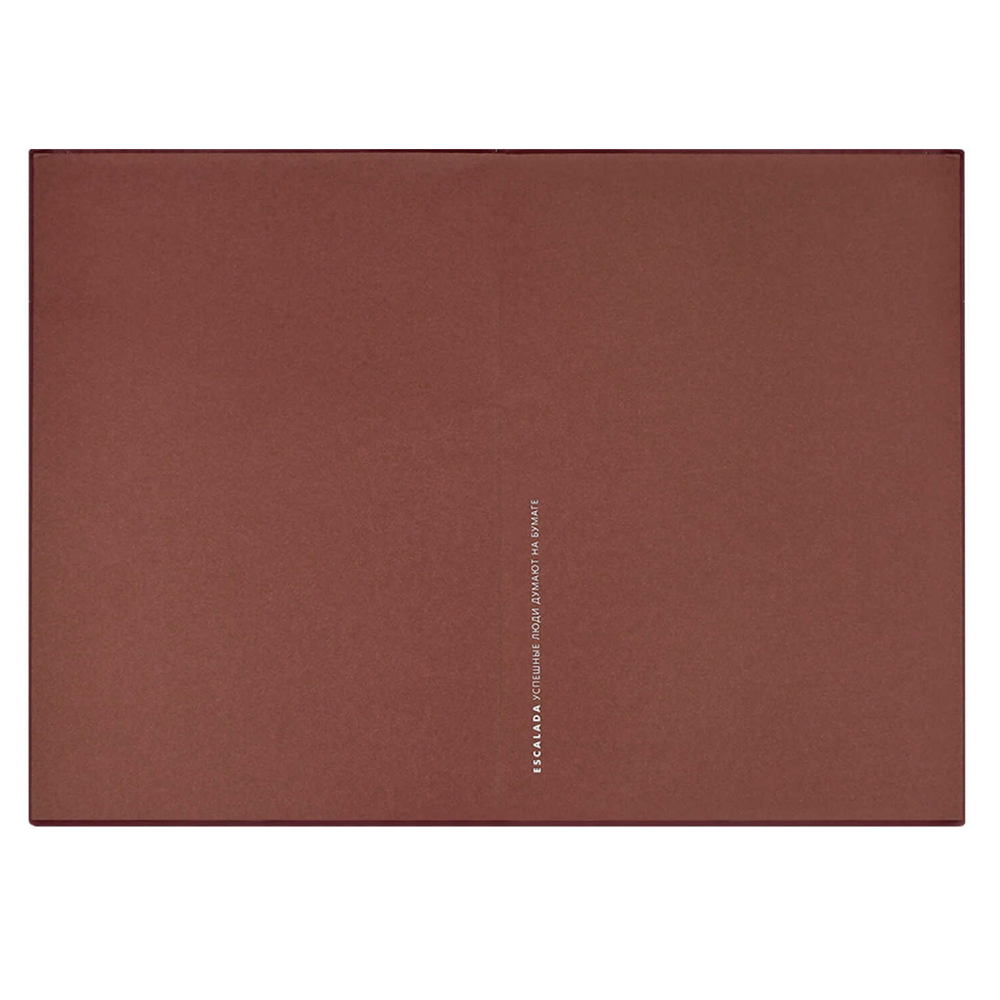 Ежедневник датированный "Шеврет бордовый", А5, 352 страницы, красный, 2026 - 3