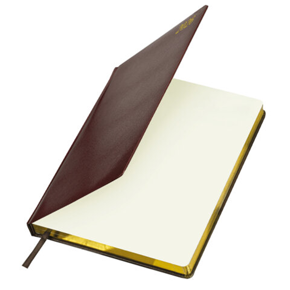 Ежедневник датированный "Iguana" на 2026 год, А4, 336 страниц, коричневый, срез золотой - 3