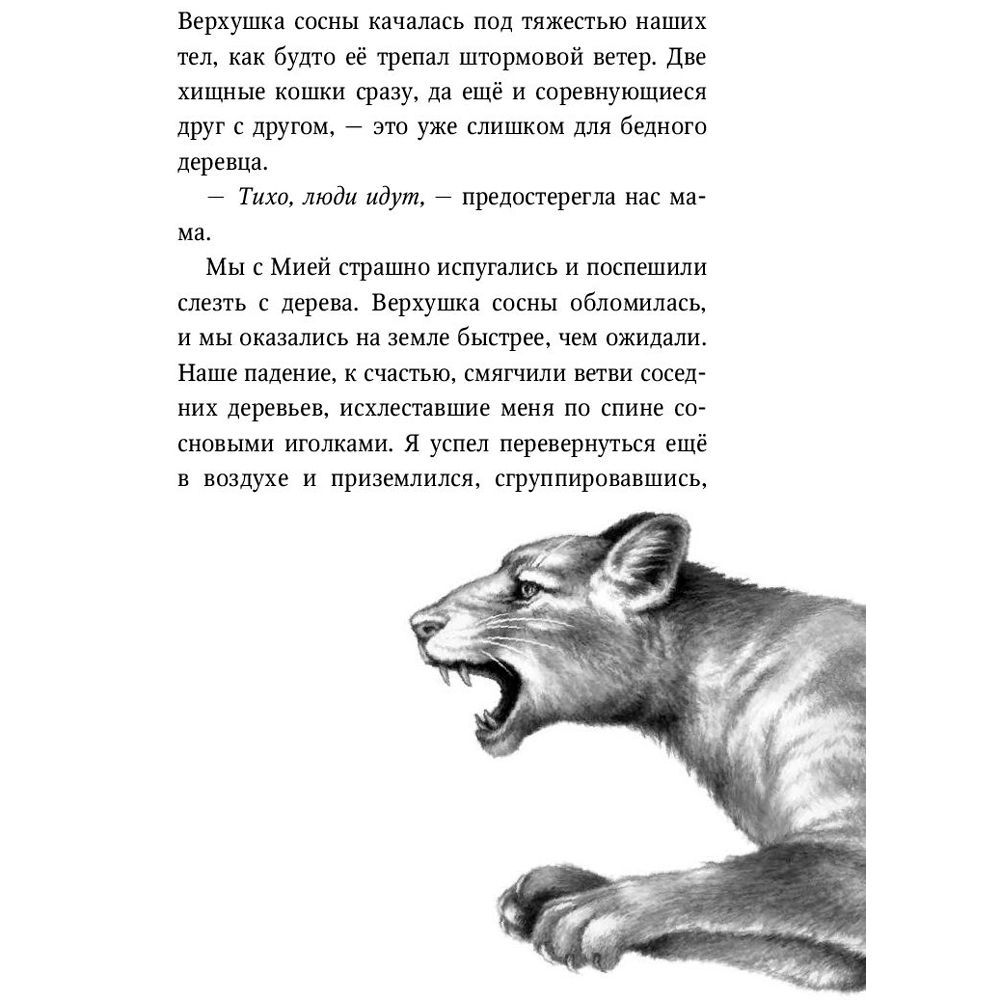 Книга "День огня (#6)", Катя Брандис - 6