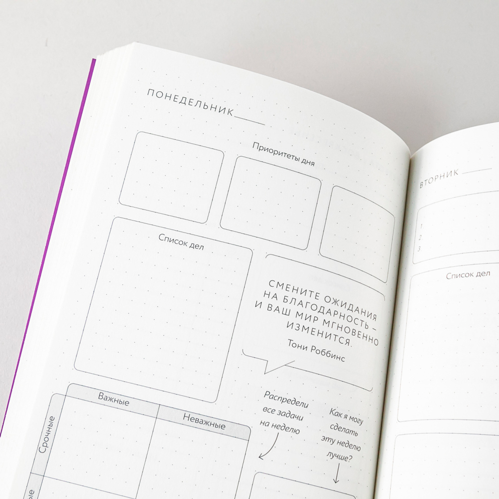 Ежедневник "Visual planner: Цели. Мечты. Достижения", А5, 288 страниц, ежевика - 8