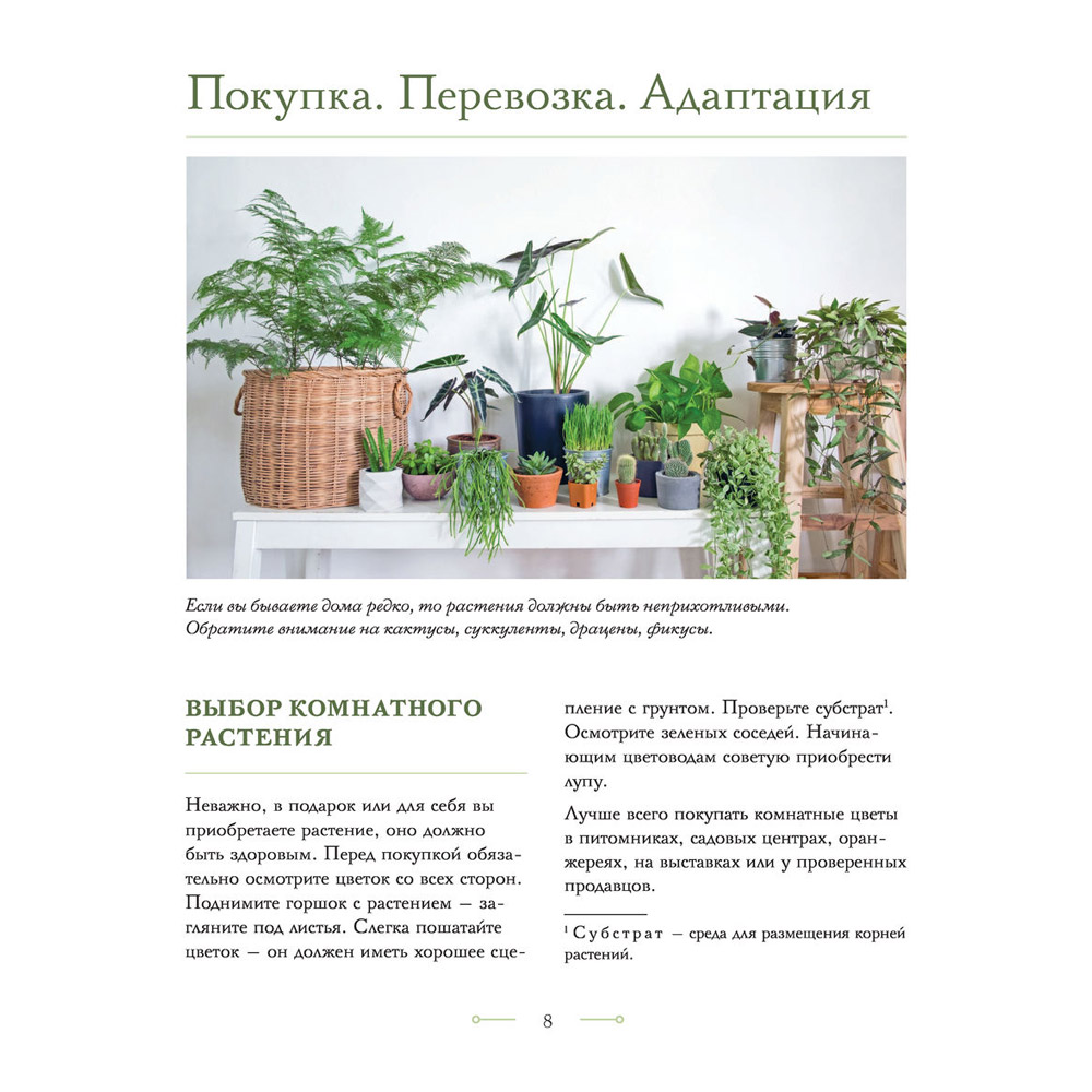 Книга "Цветок в горшке. Как посадить комнатные растения и не сесть в лужу", Ксения Занина - 8