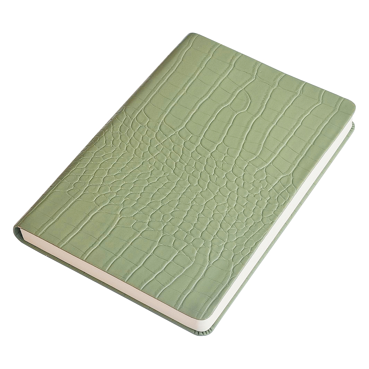 Ежедневник недатированный InFolio "Reptile" на 2024 год, А5, 320 страницы, зеленый