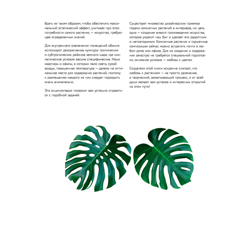 Книга "Зеленый оазис. Комнатные растения от А до Я", Березкина И. - 3
