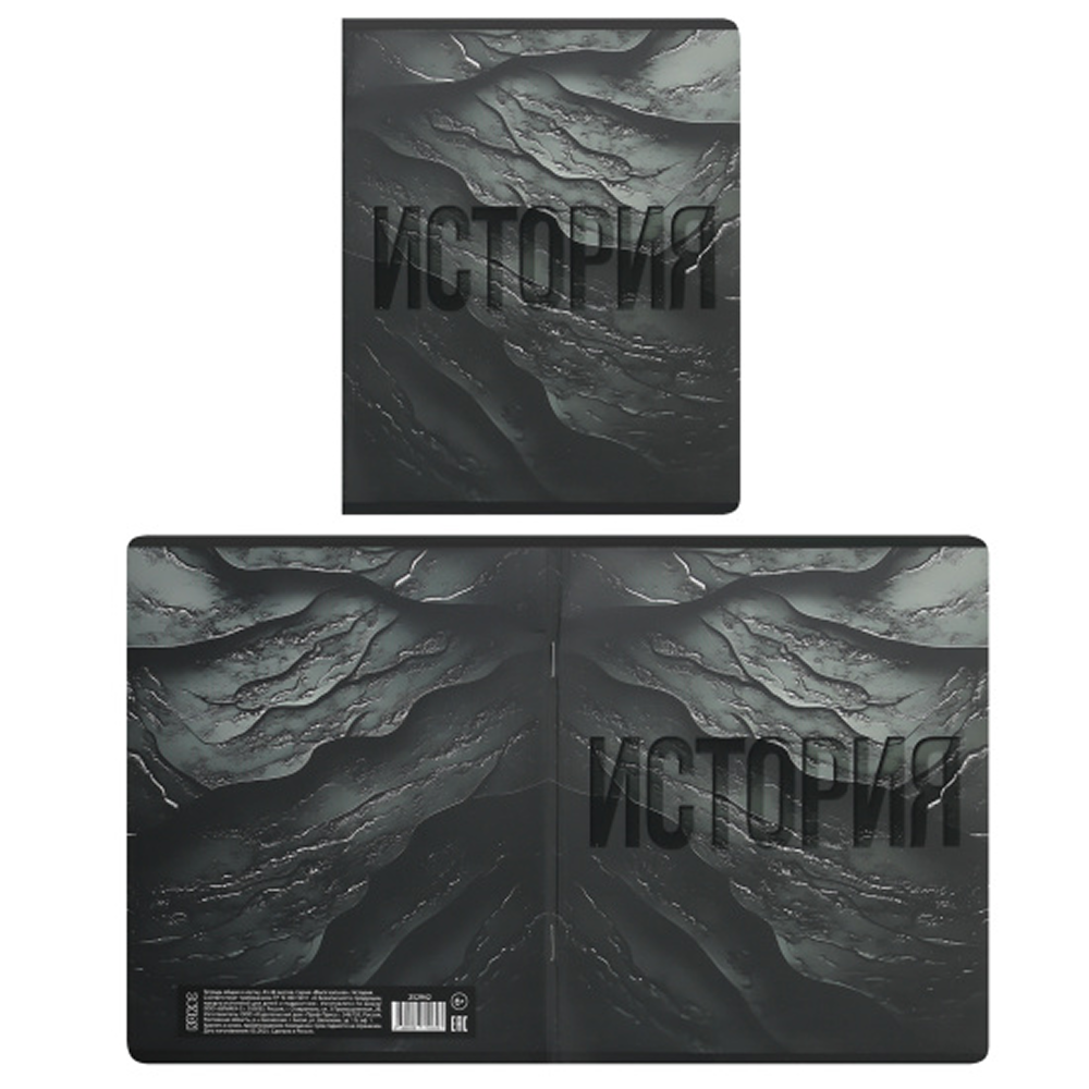 Набор тетрадей предметных "Black textures", А5, 48 листов, клетка, линейка, ассорти, 12 школьных предметов - 7