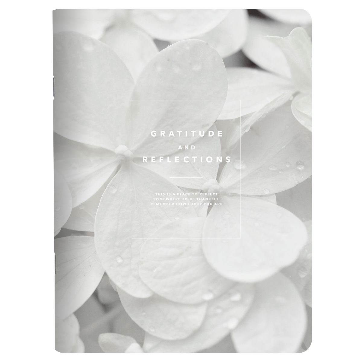 Тетрадь "Botanica гортензия", A5, 48 листов, клетка, разноцветный