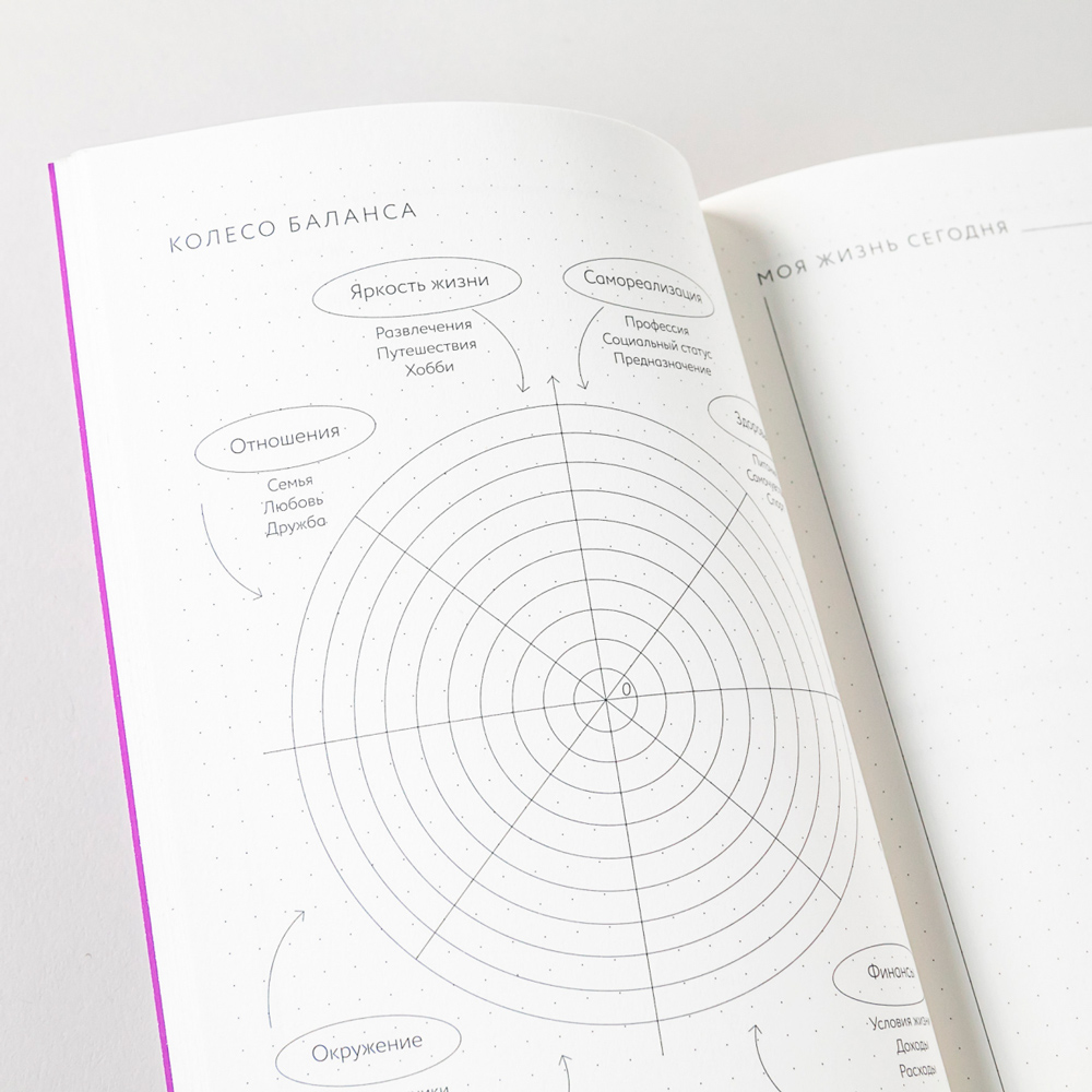 Ежедневник "Visual planner: Цели. Мечты. Достижения", А5, 288 страниц, ежевика - 9