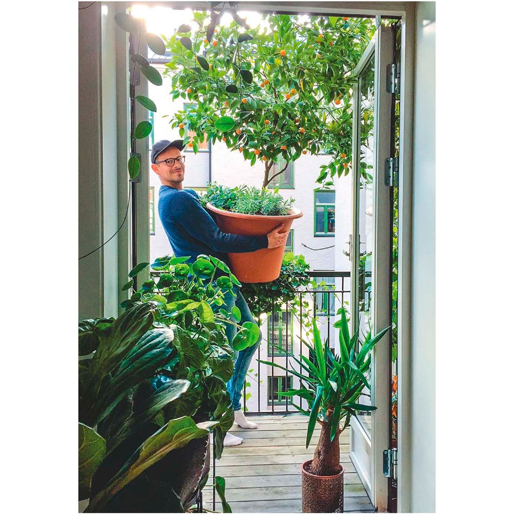 Книга "Норвежский сад. Красивые и выносливые растения для городской квартиры", Рёйнеберг А. - 5