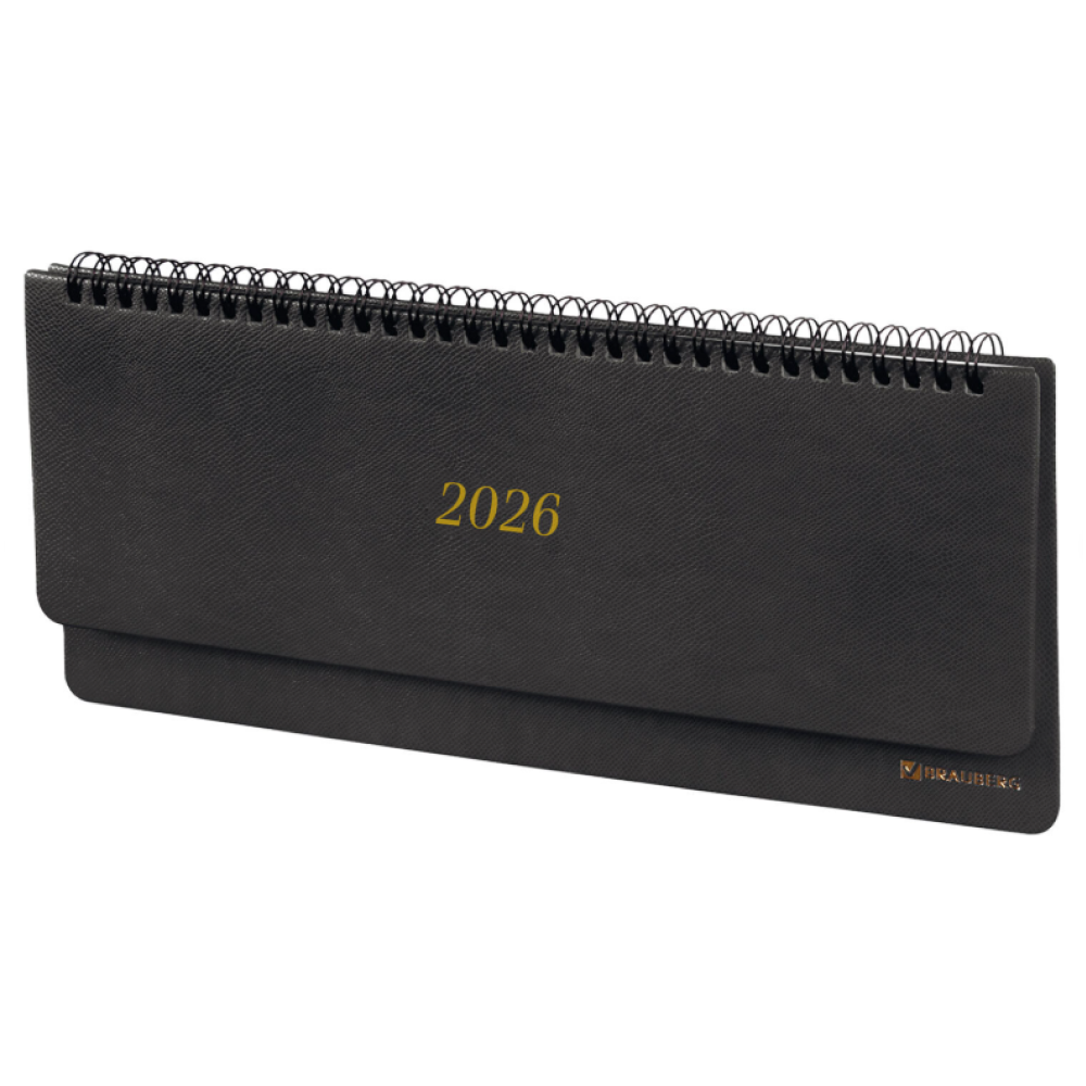 Планинг датированный "Iguana", 305x140 мм, 120 страниц, черный, 2026