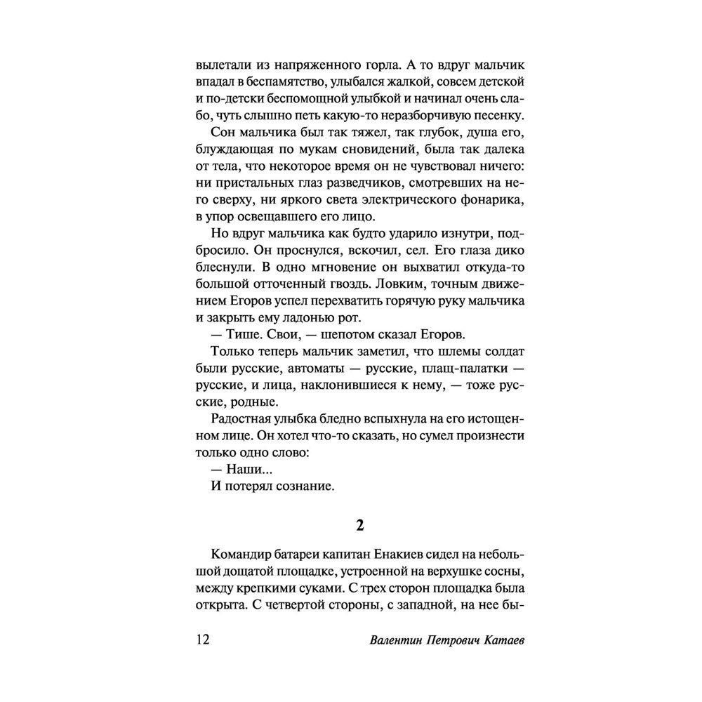 Книга "Сын полка. Белеет парус одинокий", Катаев В. - 13