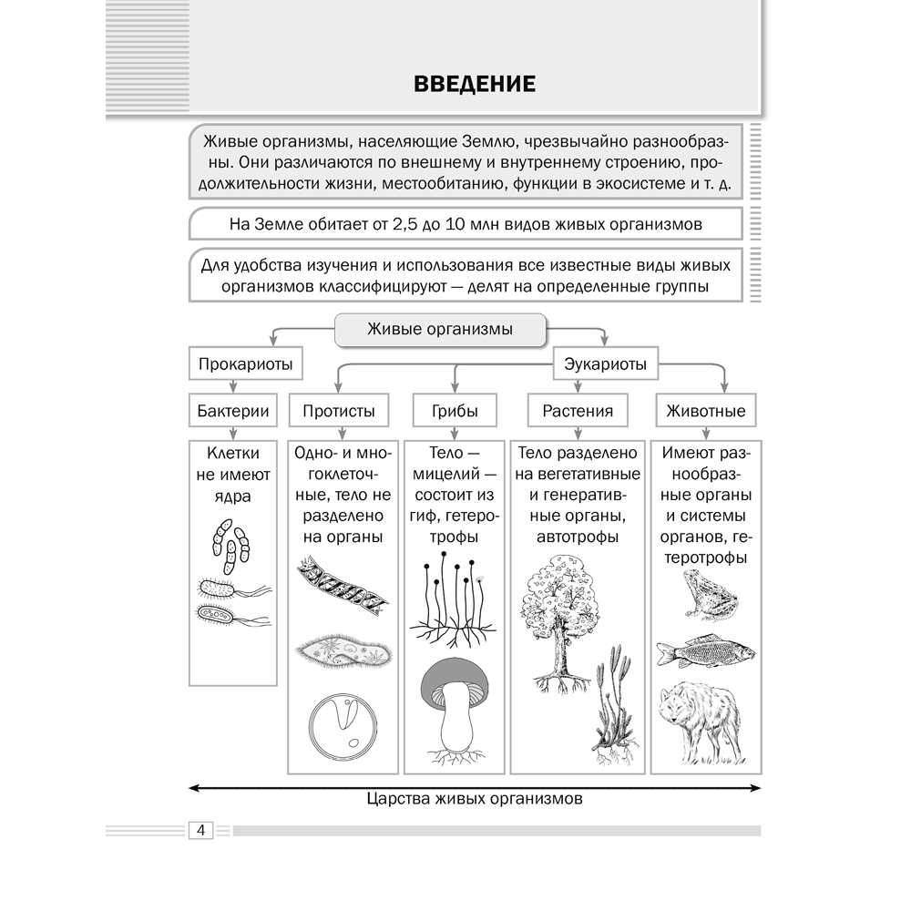 Биология. 7 класс. Опорные конспекты, схемы и таблицы, Лисов Н. Д., Аверсэв - 3