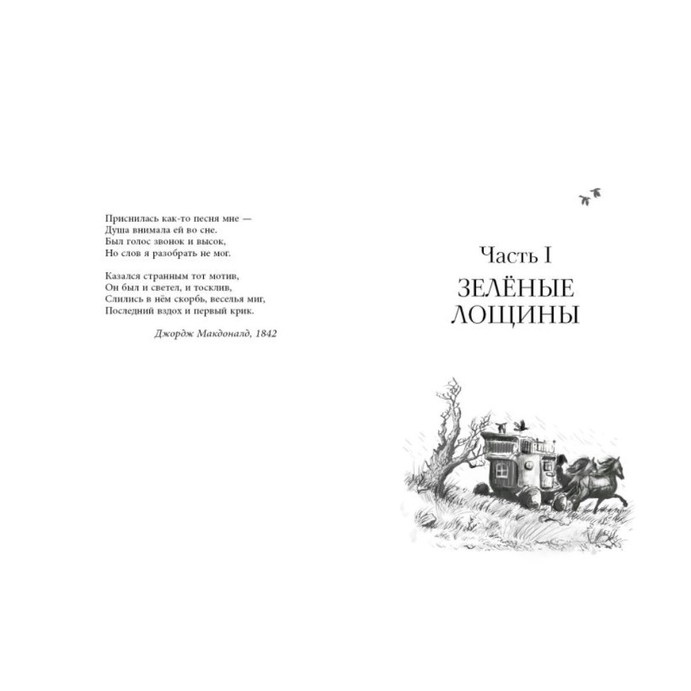 Книга "Король-волк (#4)", Эндрю Питерсон - 3