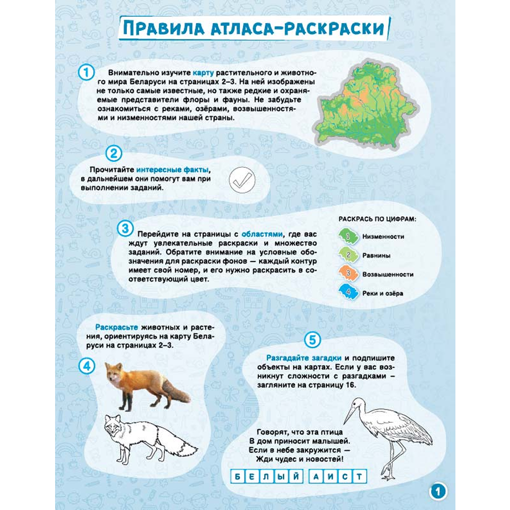 Атлас-раскраска "Растительный и животный мир Беларуси"