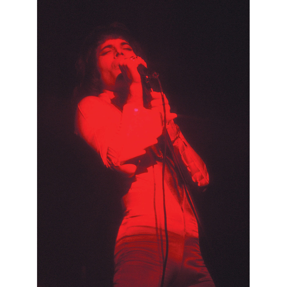 Книга "Фредди Меркьюри: иллюстрированная биография", Блейк Марк - 3