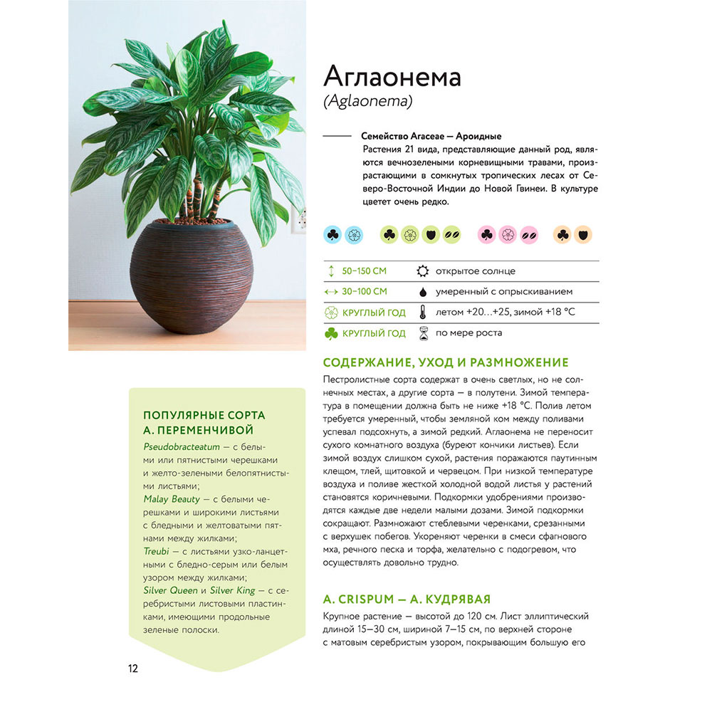 Книга "Зеленый оазис. Комнатные растения от А до Я", Березкина И. - 9