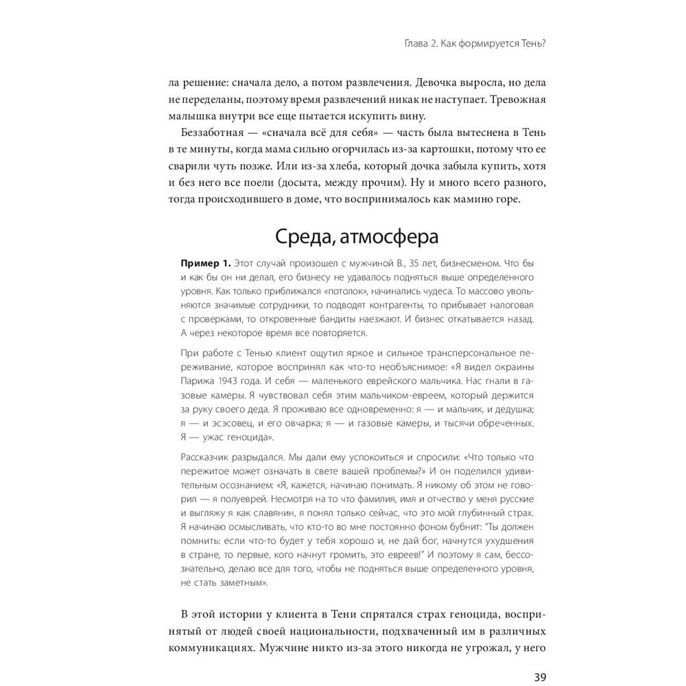 Книга "Тень как ресурс", Савкин А., Тертышная Ю. - 7