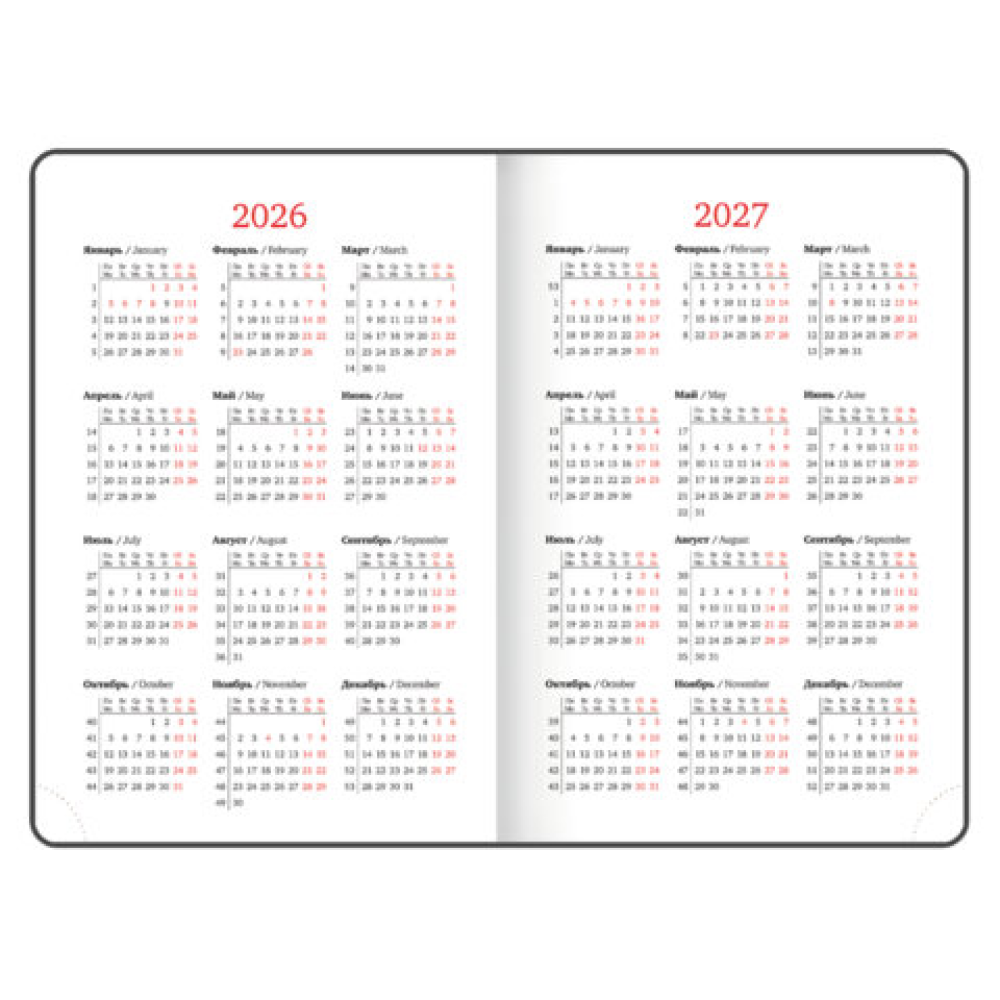 Ежедневник датированный "Plain" на 2026 год, А5, 336 страниц, фиолетовый - 7