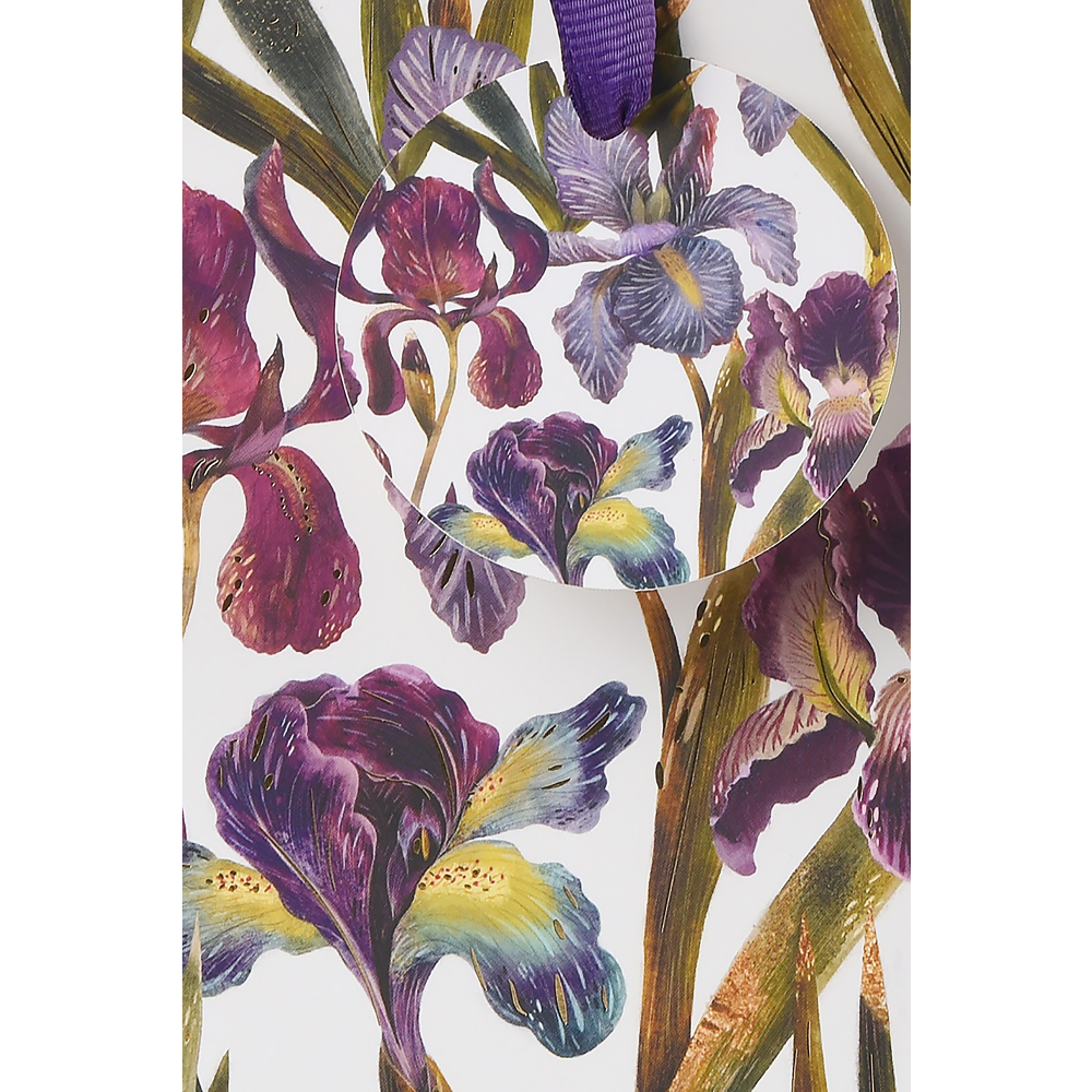 Пакет бумажный подарочный "Flora. Ирисы", 26x32,4x13 см, фиолетовый - 3