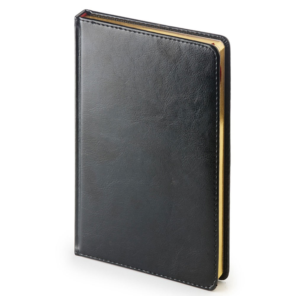 Ежедневник недатированный "Sidney Nebraska", A4, 272 страницы, черный