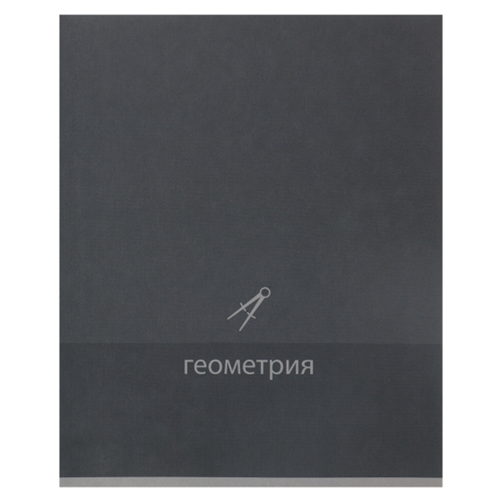 Тетрадь предметная "Геометрия. Pictogram", А5, 48 листов, клетка, темно-серый