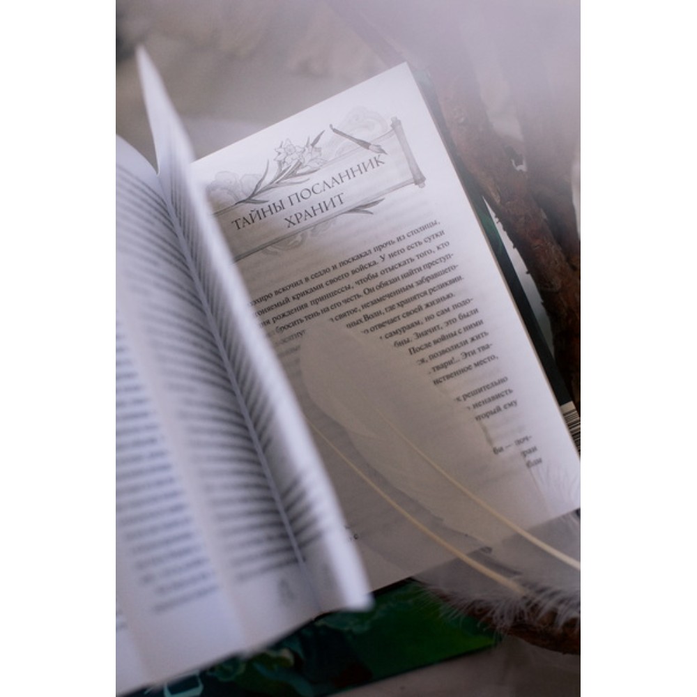 Книга "Киоко. Наследие дракона", Юлия Июльская - 7