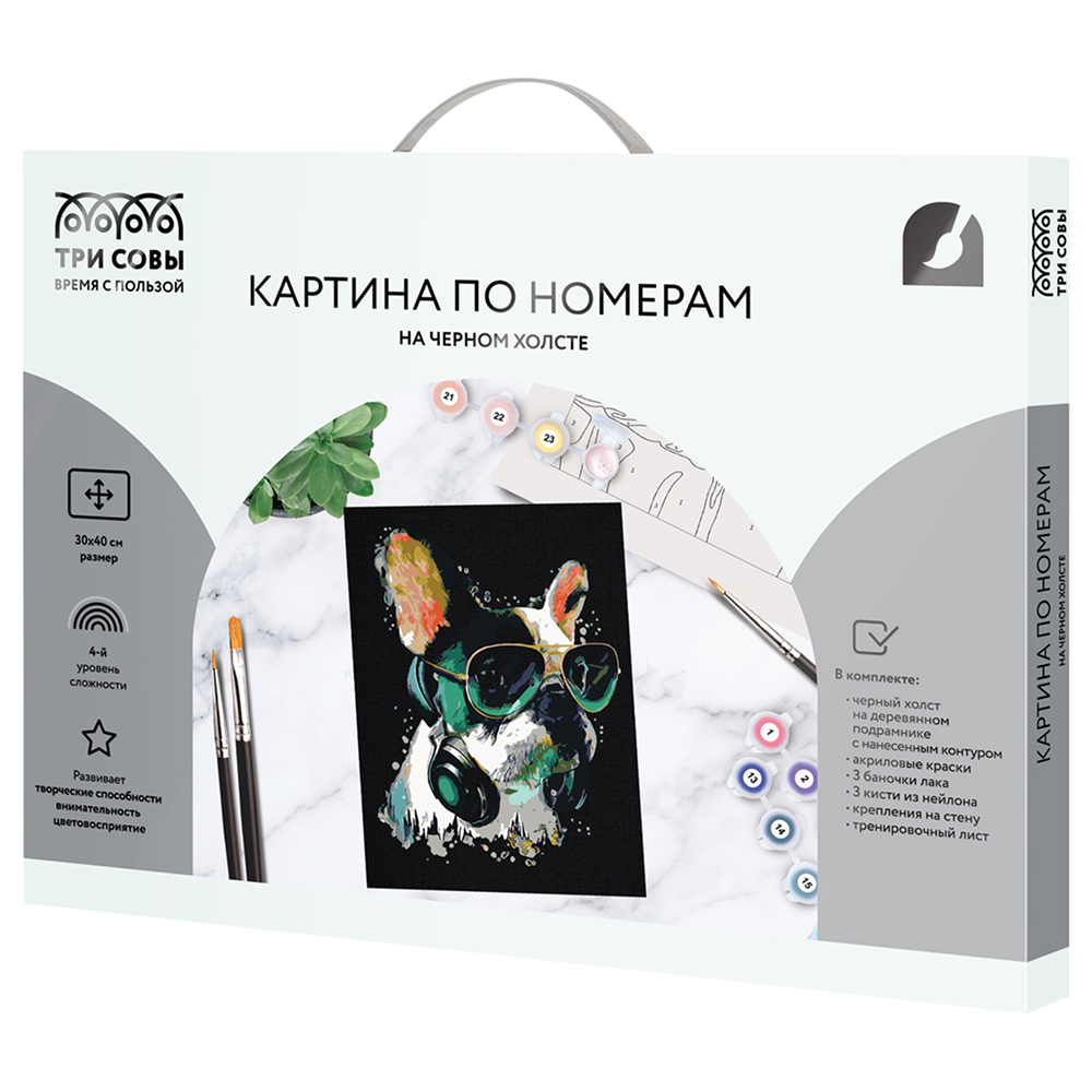 Картина по номерам "Меломан"