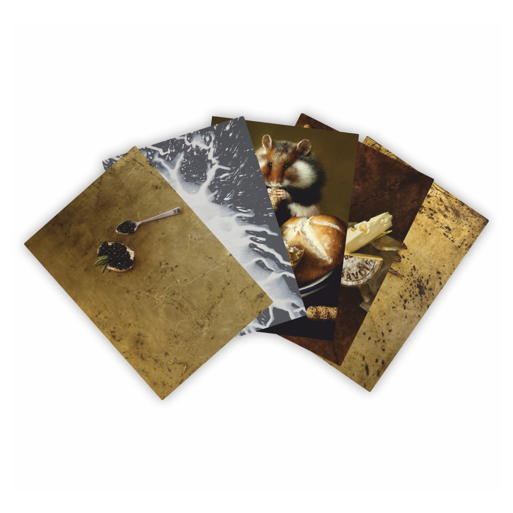 Набор открыток "Вкус жизни", Алеся Скоробогатая, дизайнерские, 5 шт.
