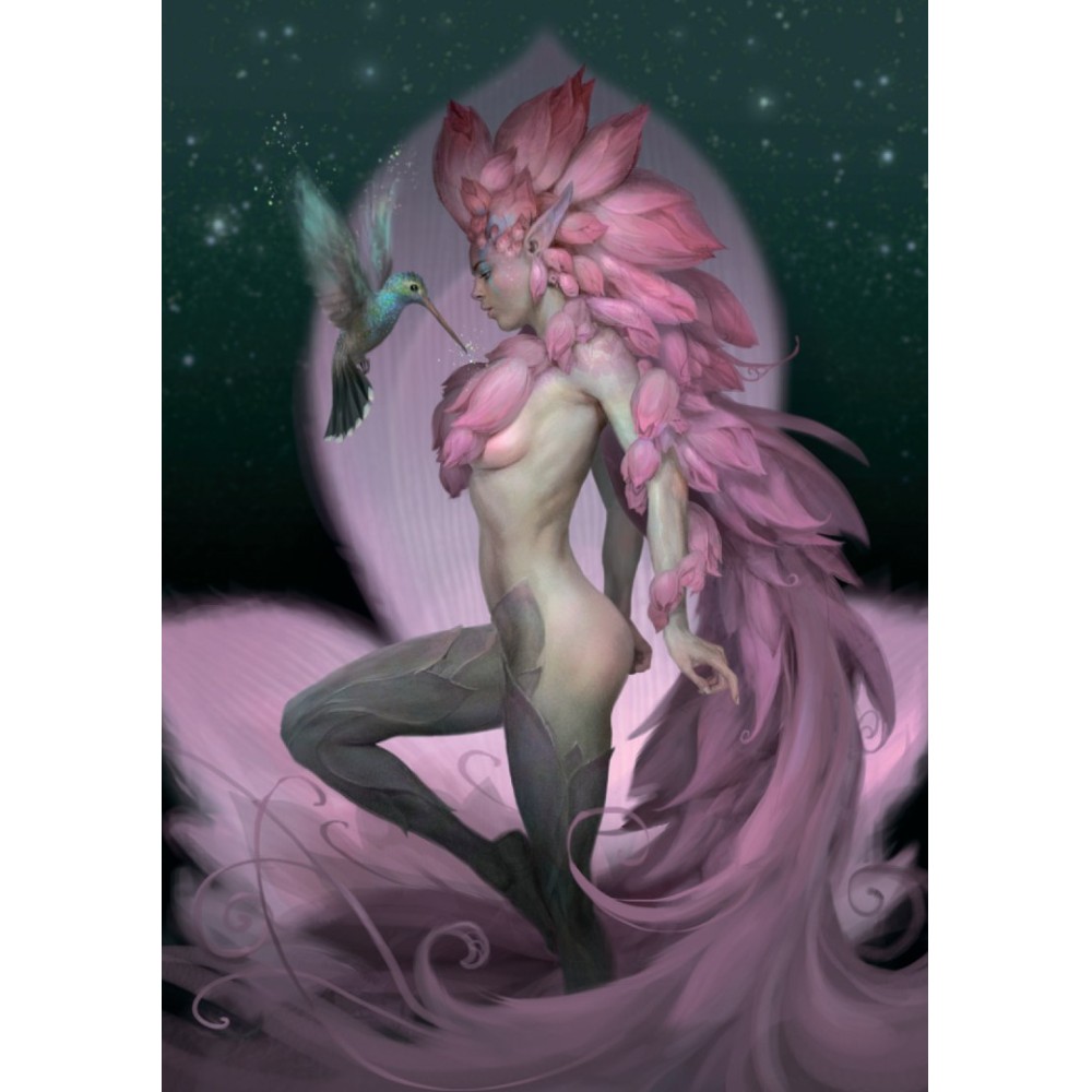 Книга "Ночные феи", Паоло Барбьери - 16