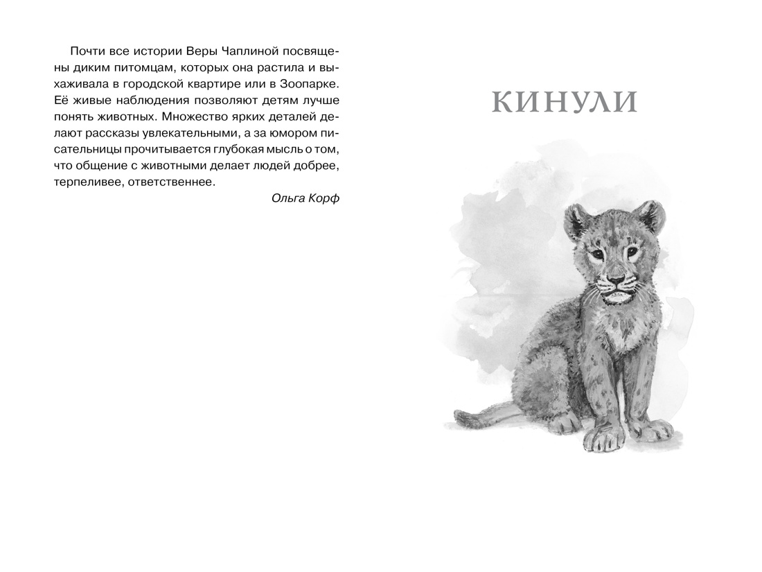 Книга "ЧЛУ. Фомка - белый медвежонок", Вера Чаплина - 3