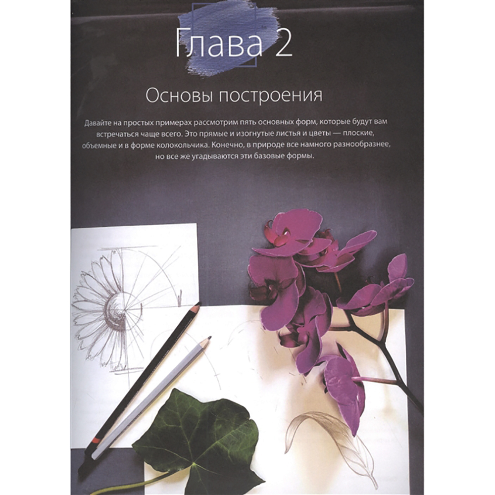 Книга "Пишем пионы, розы и другие цветы акварелью. Пошаговые мастер-классы по живописи", Татьяна Лаптева - 4