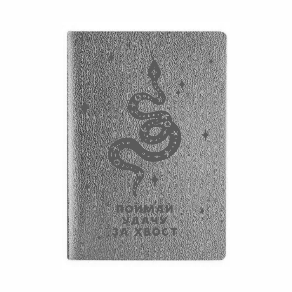 Тетрадь "Поймай удачу за хвост", А5, 60 листов, в клетку, серебристый