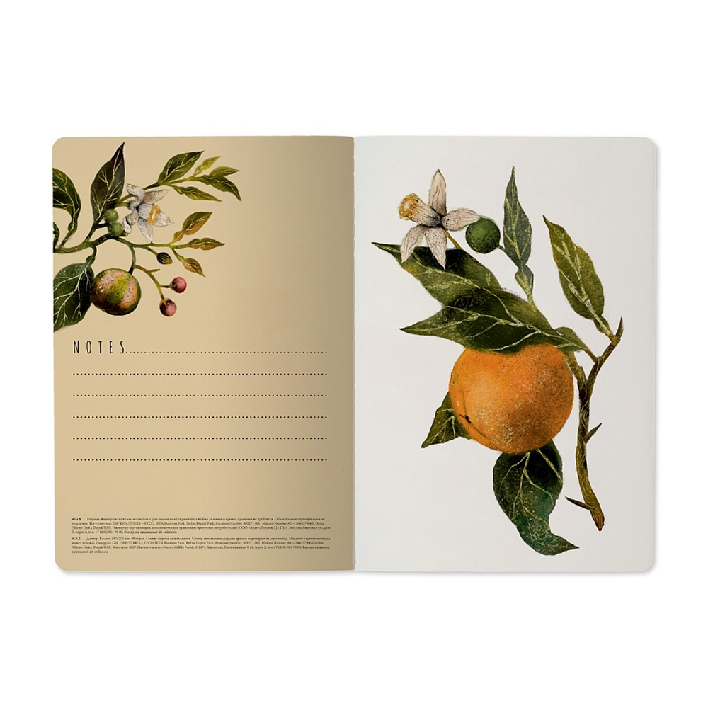 Тетрадь "Flora. Paradise. Oranges", A5, 40 листов, клетка, софт, зеленый, оранжевый - 5