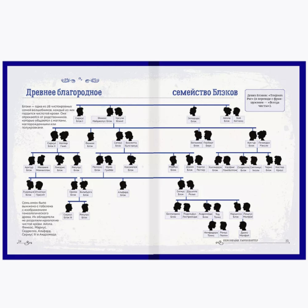 Книга "Библиотека Магии. Гарри Поттер. Персонажи" - 8