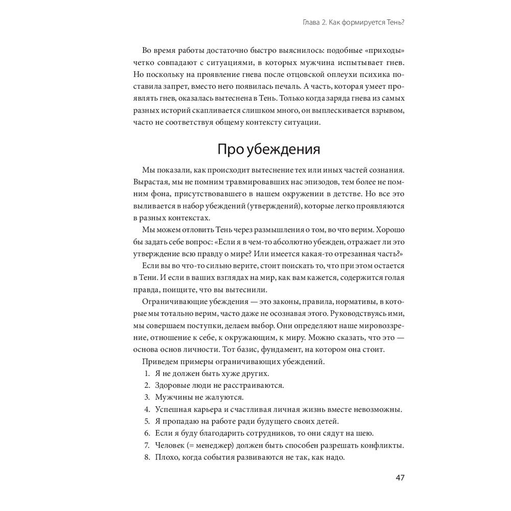 Книга "Тень как ресурс", Савкин А., Тертышная Ю. - 9