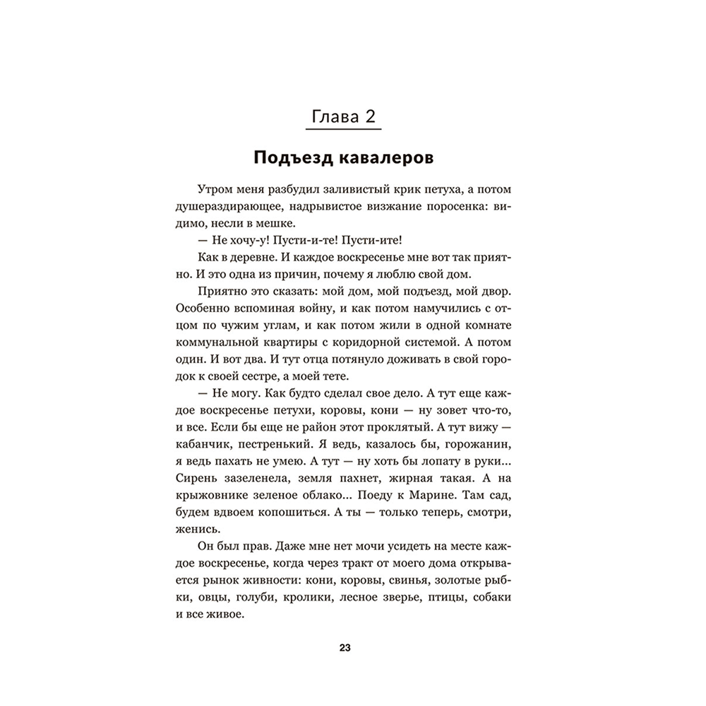 Книга "Чёрный замок Ольшанский", Владимир Короткевич - 9