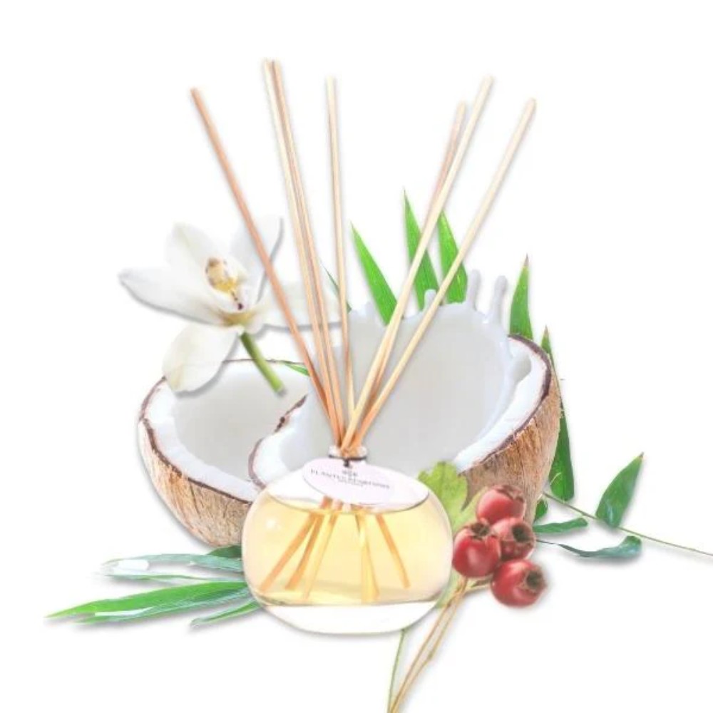 Диффузор ароматический PLANTES&PARFUMS "Cashmere Softness", 100 мл 