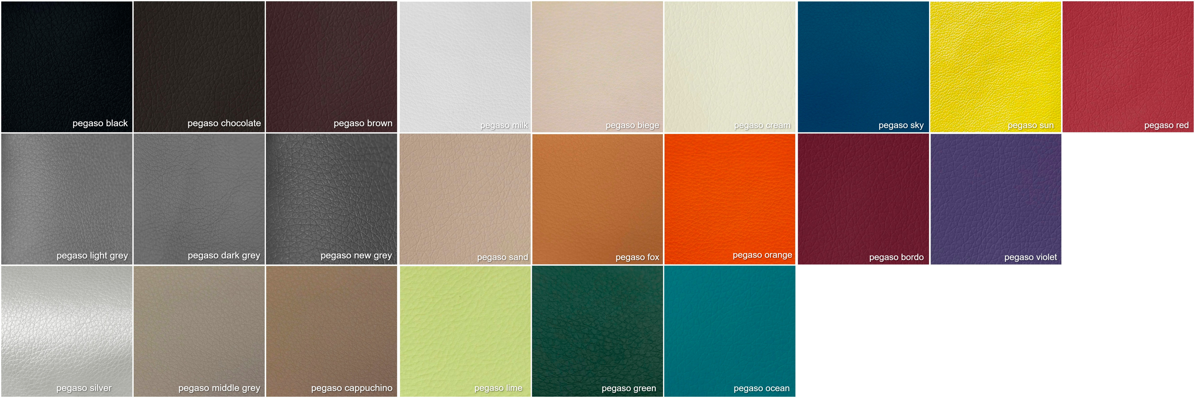 Aupi_Pegaso.jpg Aupi_Pegaso.jpg