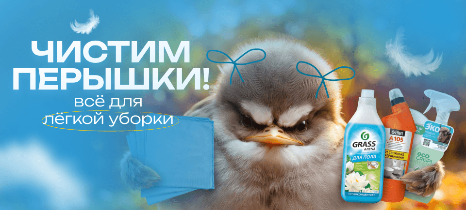 чистим перышки