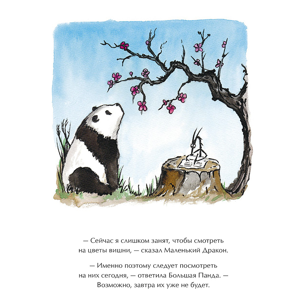 Книга "Большая Панда и Маленький Дракон: медитативная история", Джеймс Норбури - 11