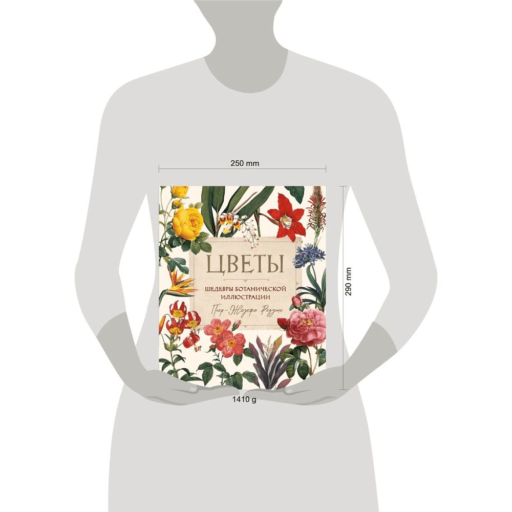 Книга "Цветы. Шедевры ботанической иллюстрации", Пьер-Жозефа Редуте - 3