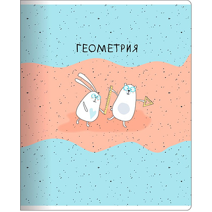 Тетрадь предметная  "Bunny Геометрия", А5, 48 листов, клетка, разноцветный