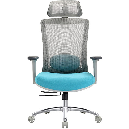 Кресло для руководителя EVOLUTION "ERGO PRIME", ткань, сетка, алюминий, бирюзовый - 2
