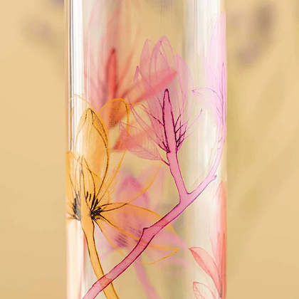 Бутылка для воды "Red Flower", стекло, 500 мл, прозрачный, красный - 5