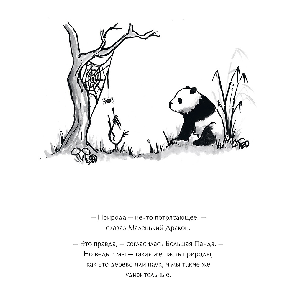 Книга "Большая Панда и Маленький Дракон: медитативная история", Джеймс Норбури - 12